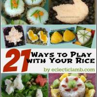 21 Ways to Play with Your Rice