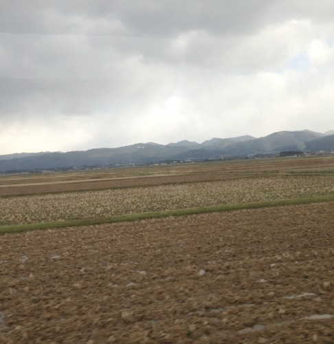 Sado Island Rice Fields and Mountains